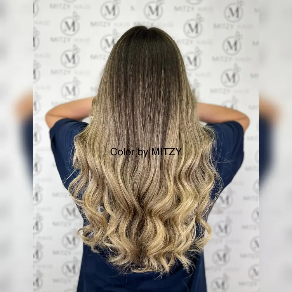 Hair transformation by Mitzy Hair in Flower Mound, TX — photo 5 of 12