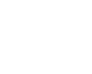 Mitzy Hair Logo